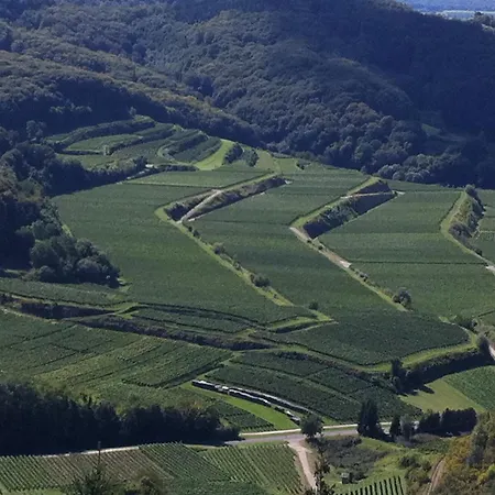 Landhaustrautwein Oberbergen