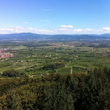 Landhaustrautwein Oberbergen