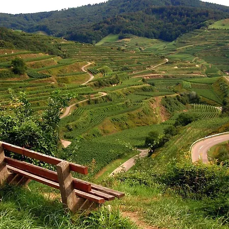 Landhaustrautwein * Oberbergen