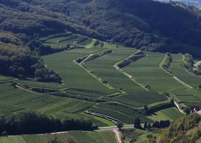 Landhaustrautwein Oberbergen