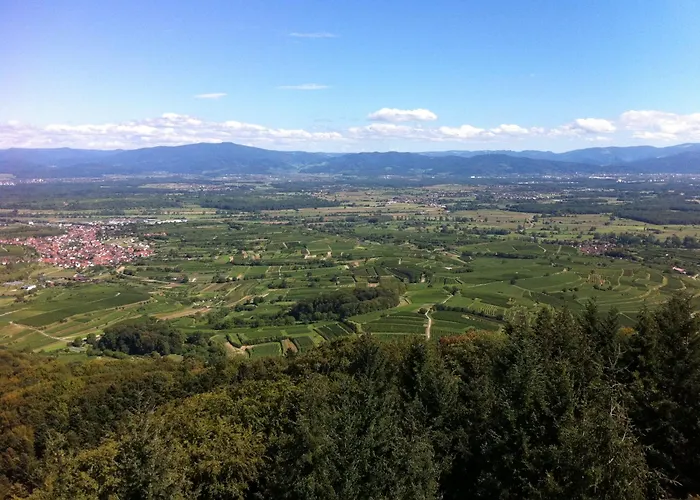 Landhaustrautwein Oberbergen